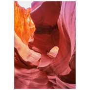 Постер "Arizona"