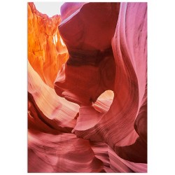 Постер "Arizona"