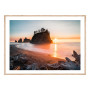Постер "Olympic National Park"