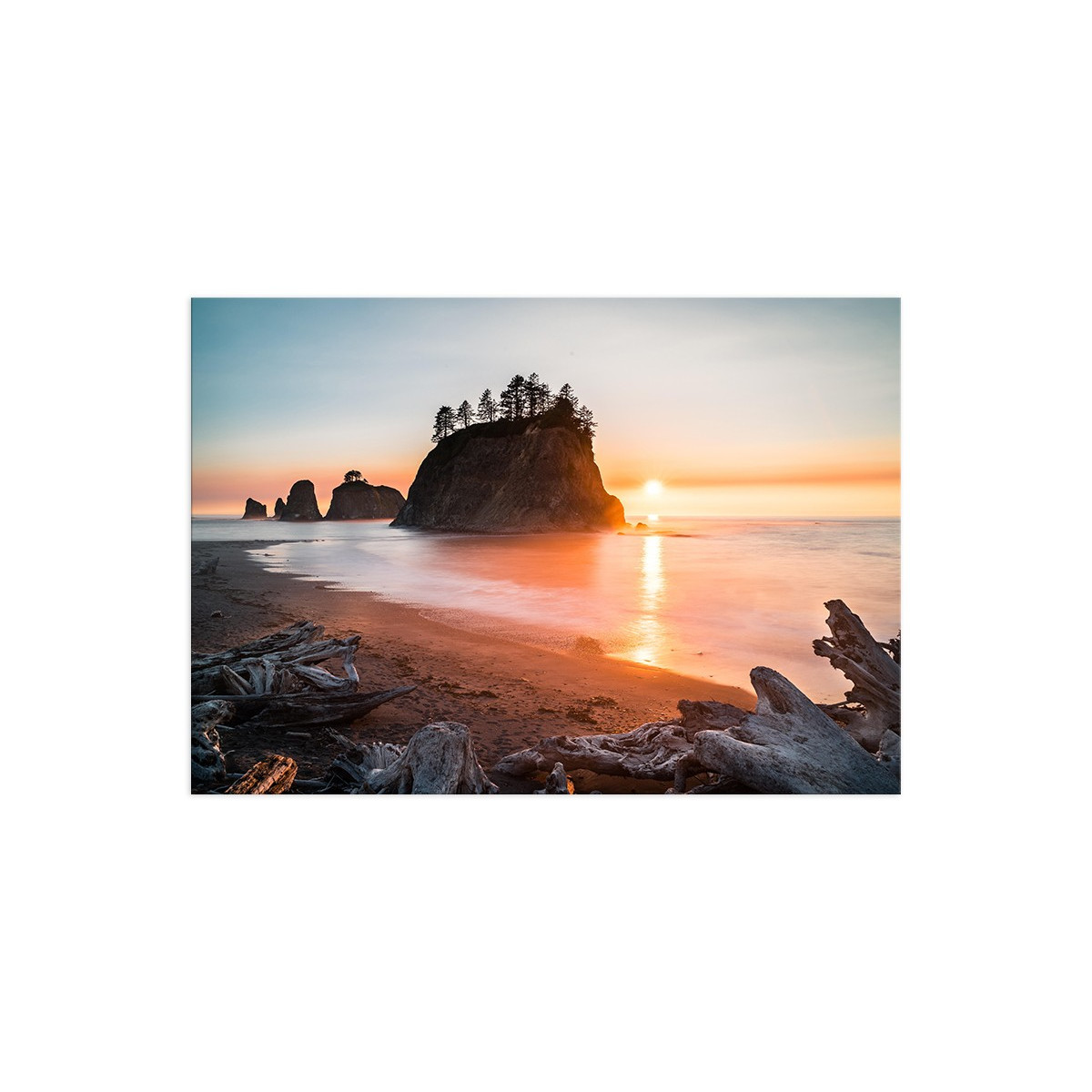 Постер "Olympic National Park"
