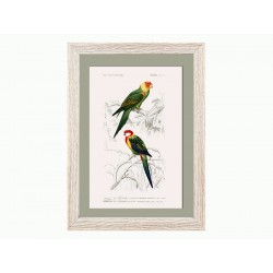 Комплект постерів "Birds"