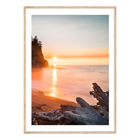 Постер "Olympic National Park"