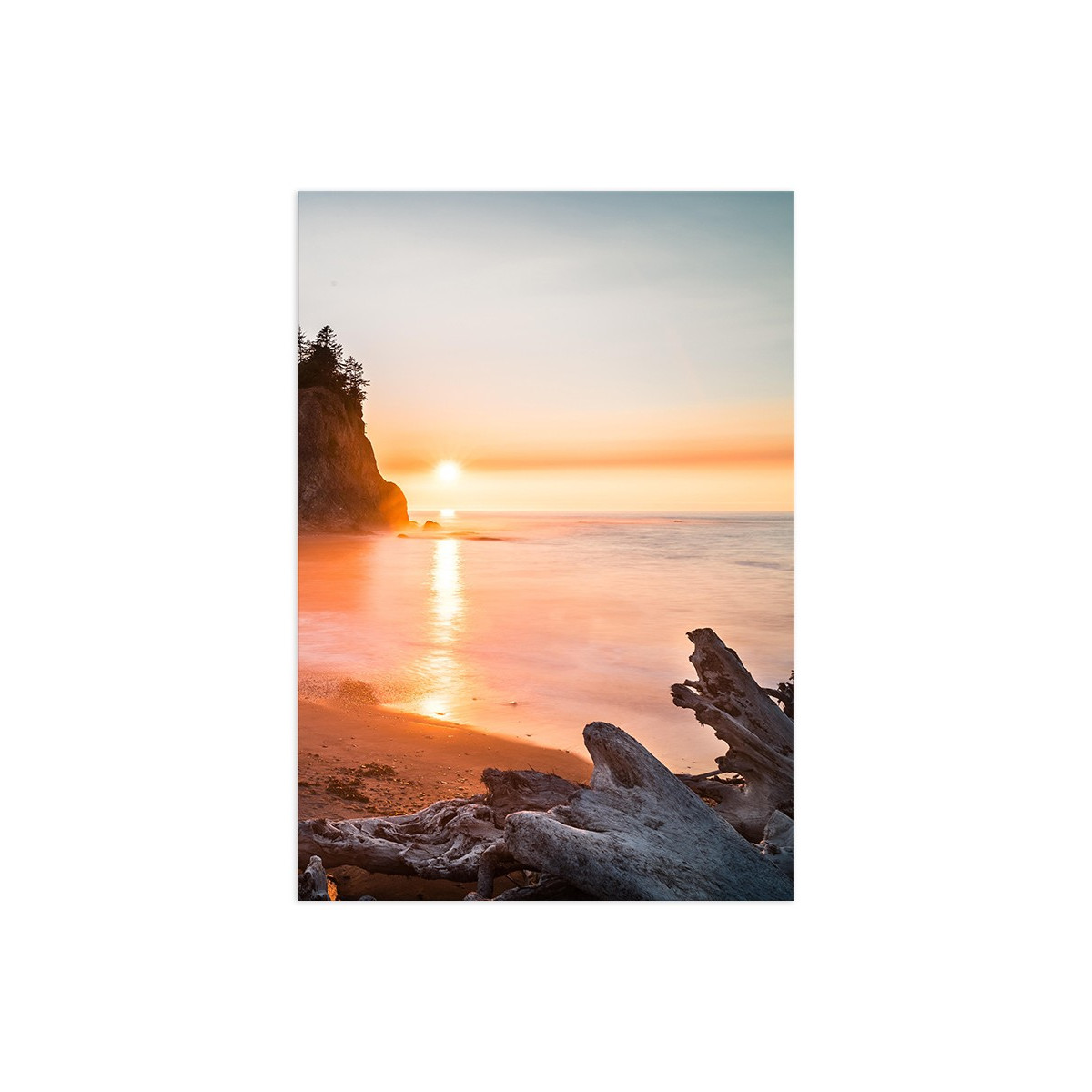 Постер "Olympic National Park"