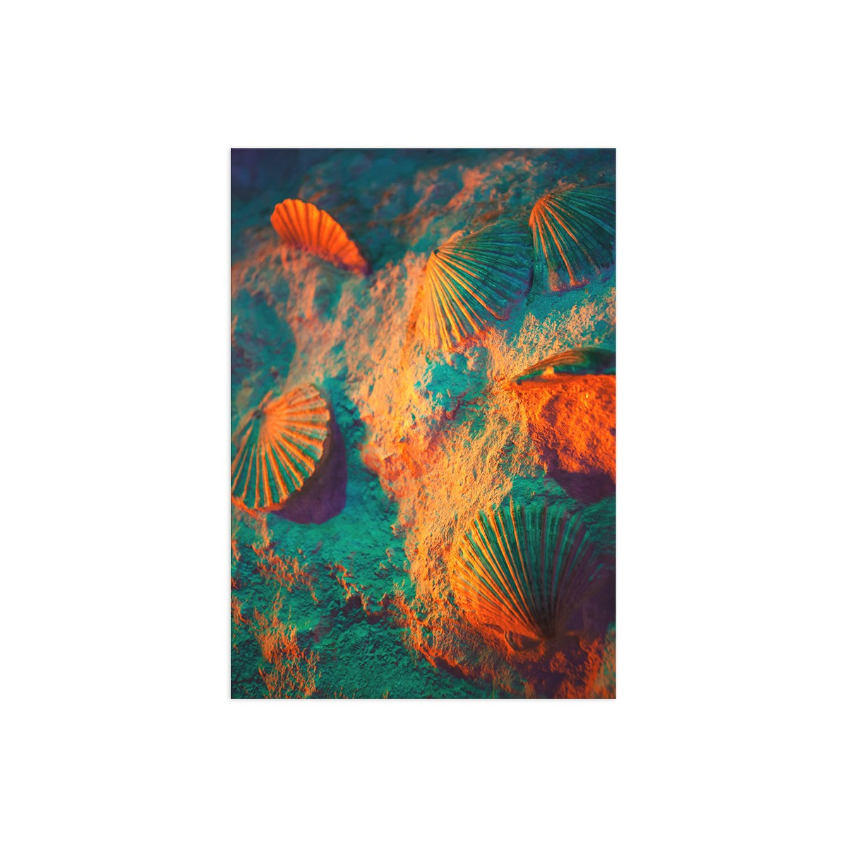 Постер "Pearl Shell"
