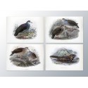 Комплект постерів "Birds"