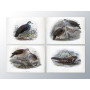 Комплект постерів "Birds"