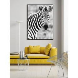 Постер в рамке "Zebra"