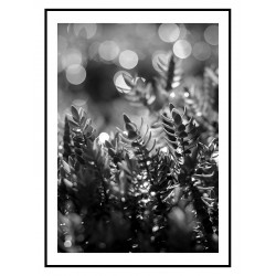 Постер в рамці "Capture"