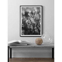 Постер в рамці "Capture"