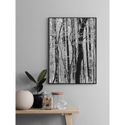 Постер в рамці "Forest"