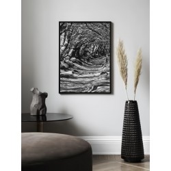 Постер в рамке "Alley"