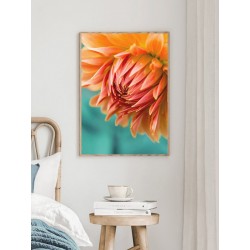 Постер в рамці "Помаранчева жоржина"