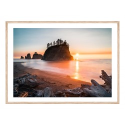 Постер в рамке "Olympic National Park"