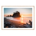 Постер в рамке "Olympic National Park"