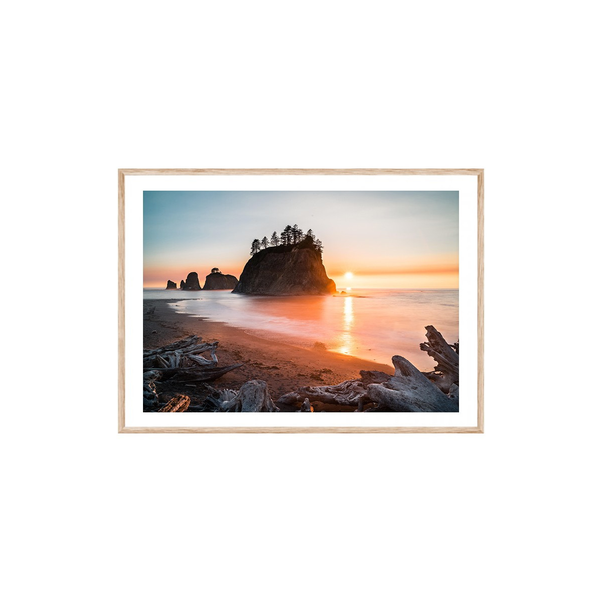 Постер в рамці "Olympic National Park"