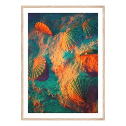 Постер в рамке "Pearl Shell"