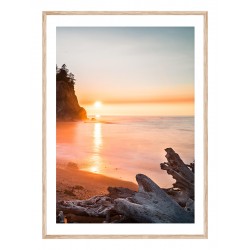 Постер в рамці "Olympic National Park"