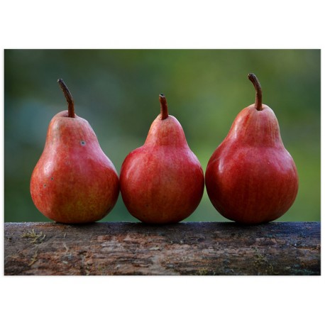 Комплект постерів "Red pears"