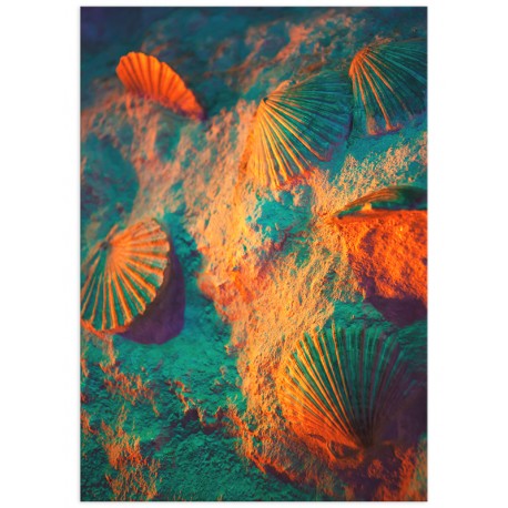 Комплект постеров "Terracotta"