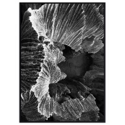 Комплект постеров в рамках "Blue parrot"