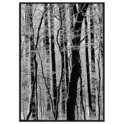 Комплект постеров в рамках "Blue parrot"