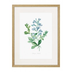 Комплект постерів в рамках "Flowers. Botany"