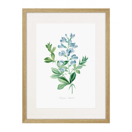 Комплект постеров в рамках "Flowers. Botany" Комплект постеров в рамках "Flowers. Botany"