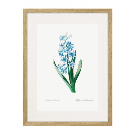 Комплект постеров в рамках "Flowers. Botany" Комплект постеров в рамках "Flowers. Botany"