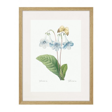 Комплект постеров в рамках "Flowers. Botany" Комплект постеров в рамках "Flowers. Botany"