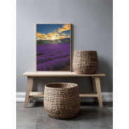 Постер в рамке "Provence France"