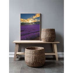 Постер в рамке "Provence France"