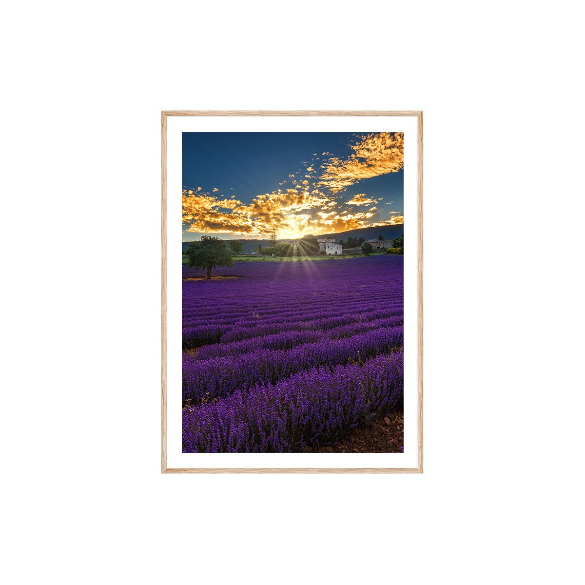 Постер в рамке "Provence France"