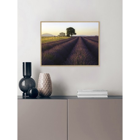 Постер "Provence France"