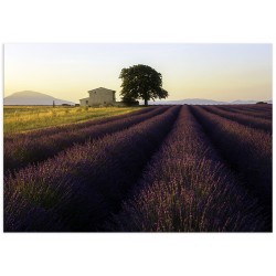 Постер "Provence France"