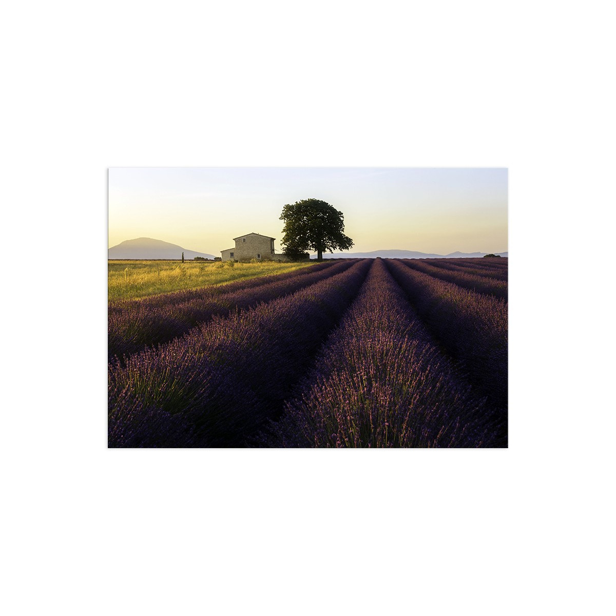 Постер "Provence France"