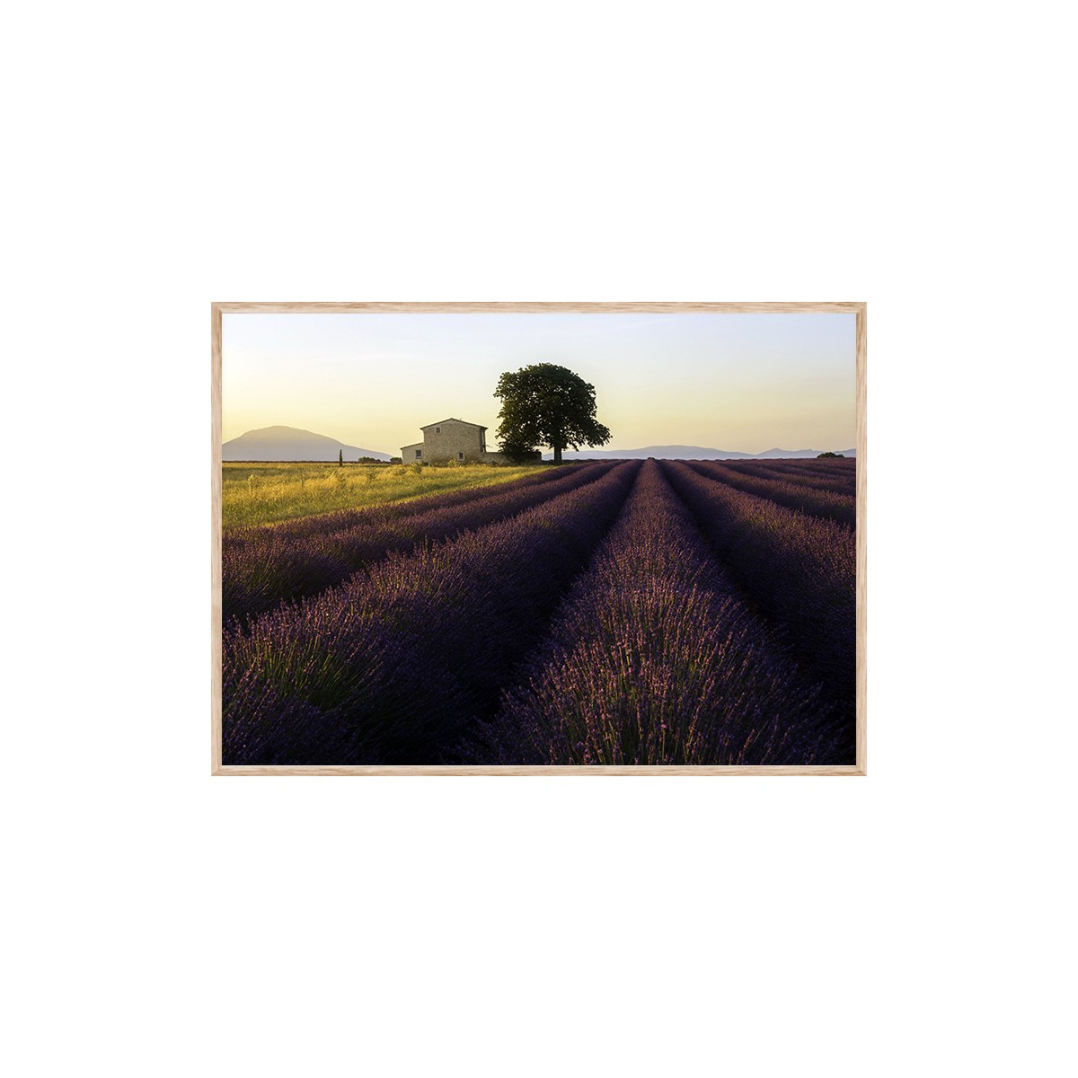 Постер в рамці "Provence France"
