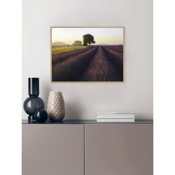 Постер в рамке "Provence France"