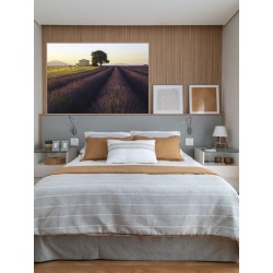 Постер в рамке "Provence France"