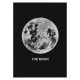 Постер "Місяць"