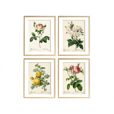 Комплект постеров "Botanical flowers"