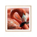 Постер в рамке "Flamingo"
