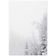 Комплект постерів "Snowy Forest"