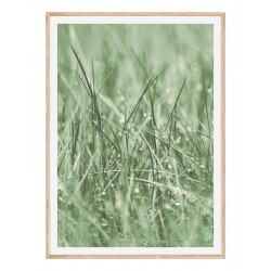 Постер в рамке "Green grass"