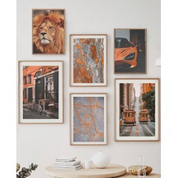Комплект постерів в рамках "Lion"