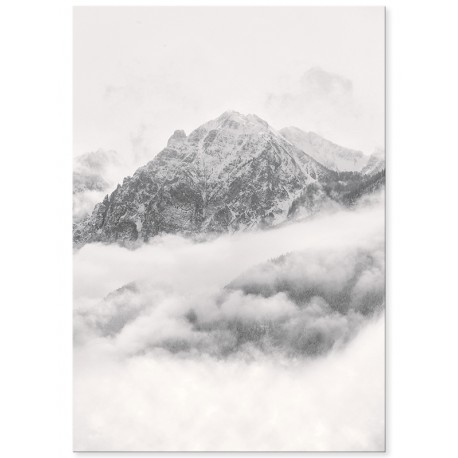 Постер "Белый туман"