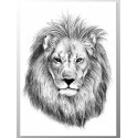 Постер "Lion"