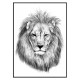 Комплект постеров в рамкках "Lion"