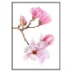 Постер "Magnolia Art"
