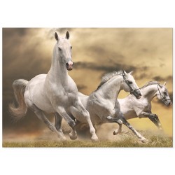 Постер "Running White Horses"