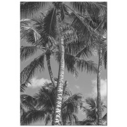 Постер "Palm"